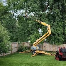 Reliable Lynn Haven, FL Tree Removal and Landscaping Services Solutions